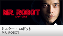 MR.ROBOT